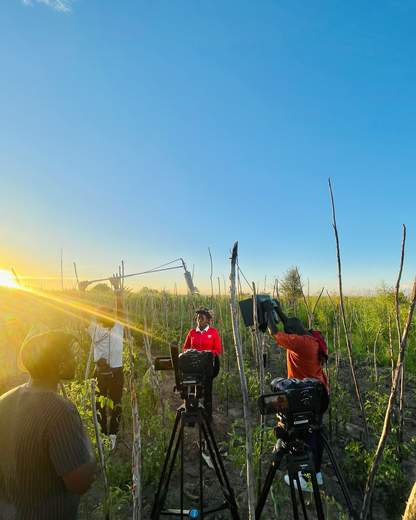 Golden hour field production